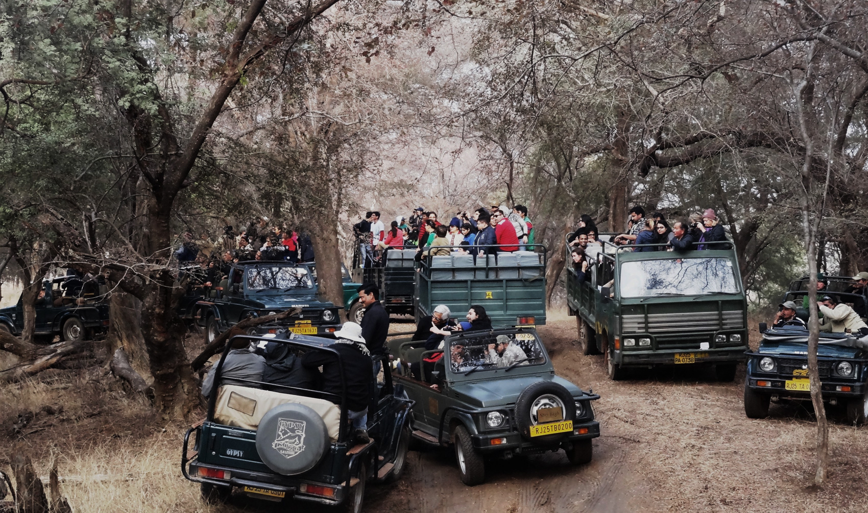 CONFIRM Ranthambore jeep safari booking in your favorite Zone 1 to 6